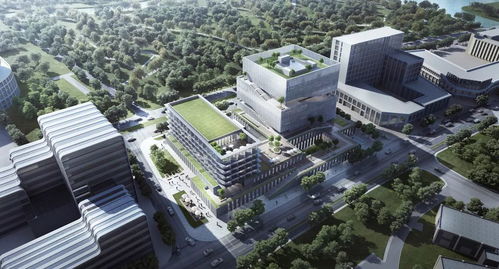臨港 張江中心國際設計競賽揭曉 eid建筑設計事務所